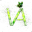 #51456